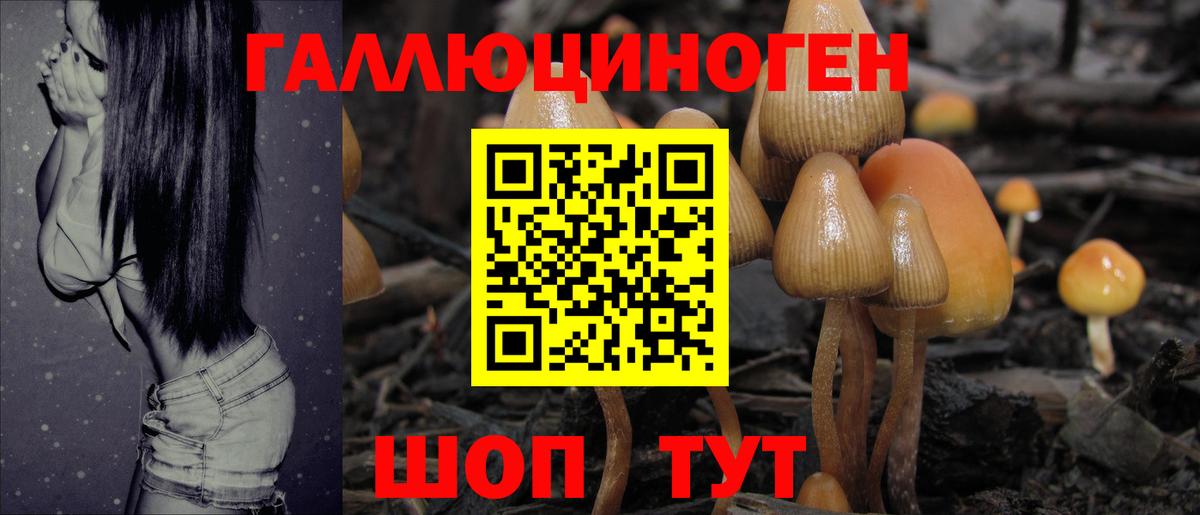 Псилоцибиновые грибы мицелий Советский